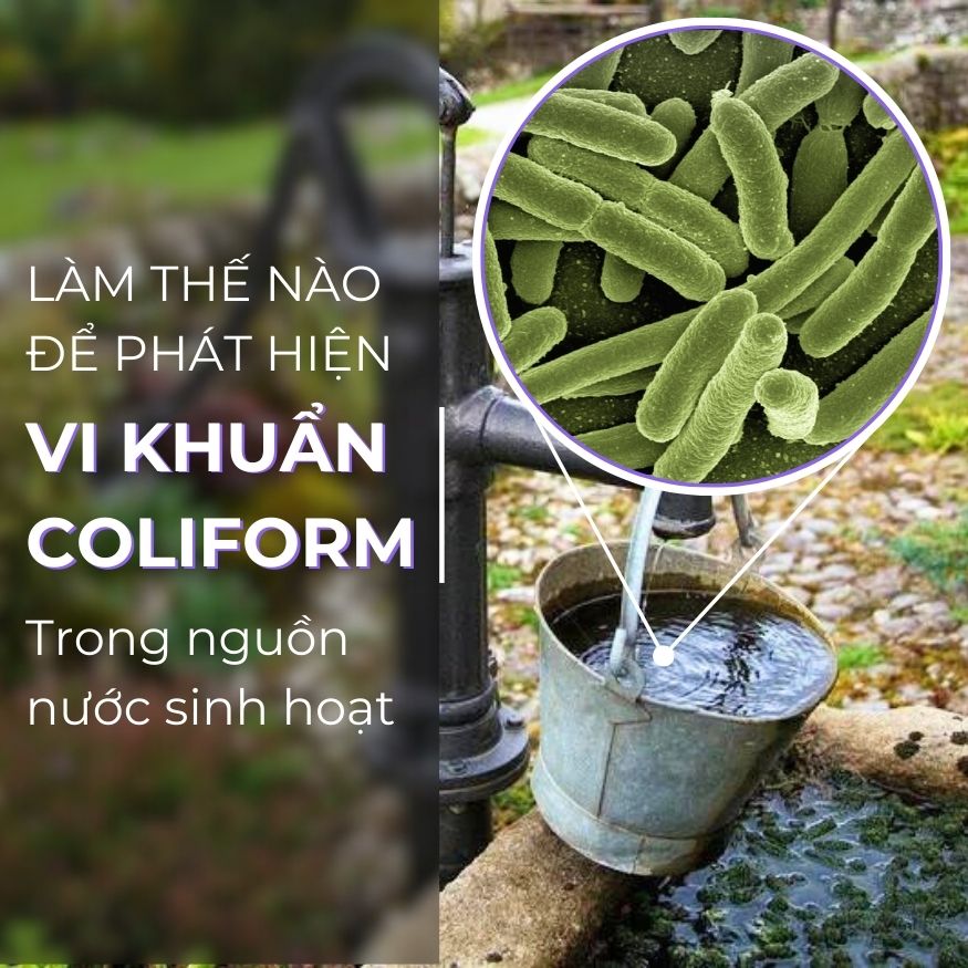 làm thế nào để phát hiện vi khuẩn coliform trong nguồn nước