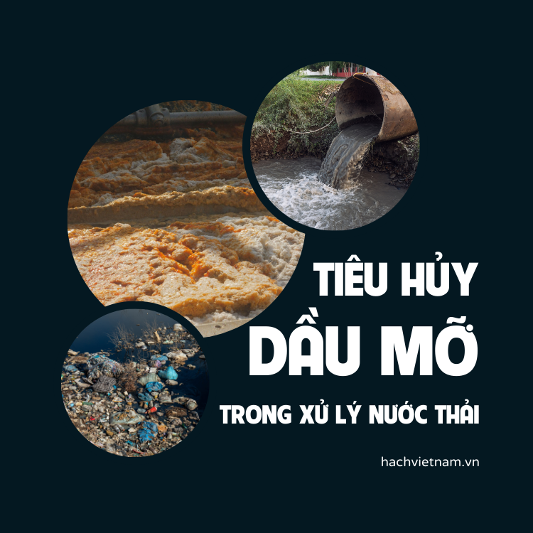 tiêu hủy dầu mỡ trong xử lý nước thải