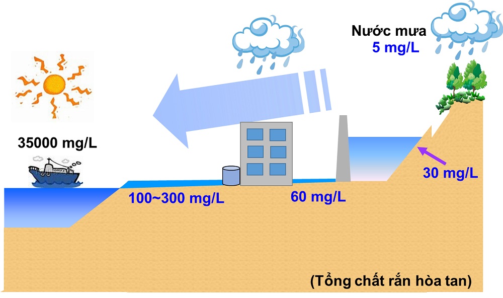 Áp dụng công nghệ tự nhiên trong thu gom nước mưa để cấp nước sinh hoạt