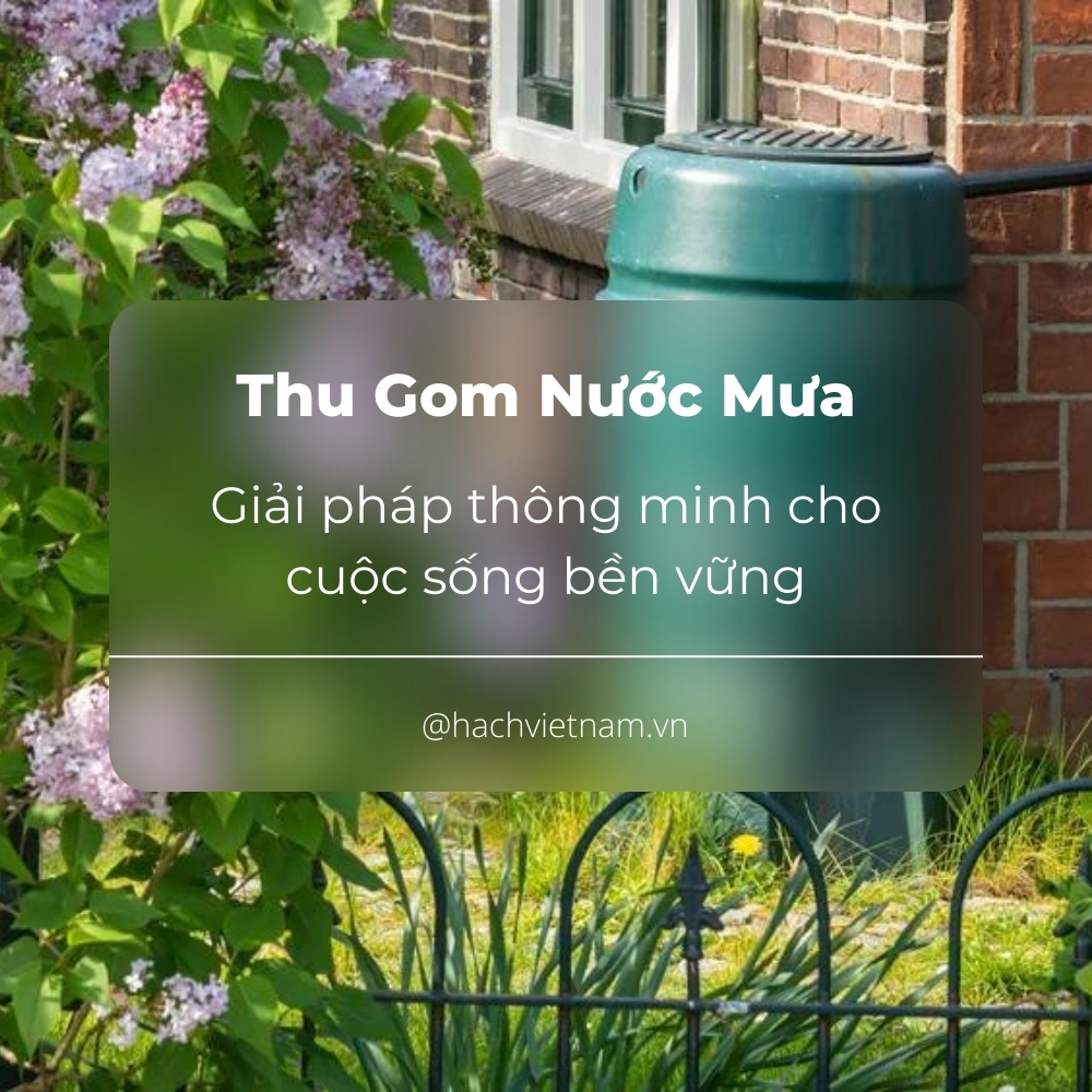 thu gom nước mưa giải pháp cho cuộc sống bền vững