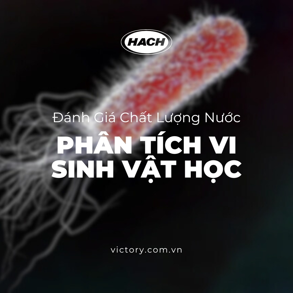 Phân tích vi sinh vật học trong nước