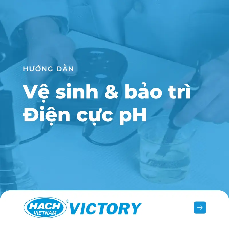 hướng dẫn bảo trì và vệ sinh điện cực pH