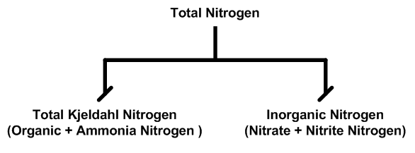 Hình 1: Các phân đoạn nitơ tổng (kiểm tra nitơ)