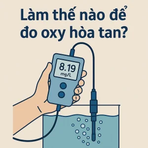 làm thế nào để đo oxy hòa tan